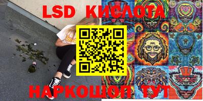 индика Рузаевка