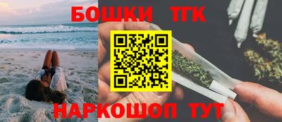 индика Рузаевка