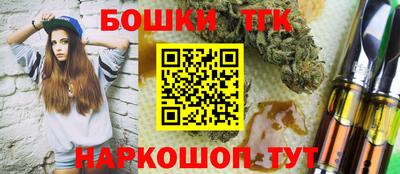 индика Рузаевка